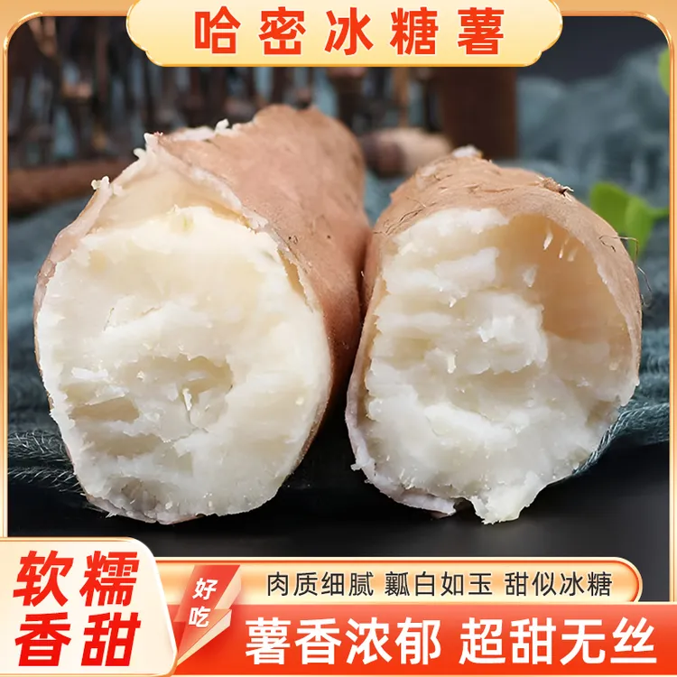 哈密冰糖薯超甜糖心白心蜜薯地瓜新鲜现挖沙地番薯4.5斤-5斤中果
