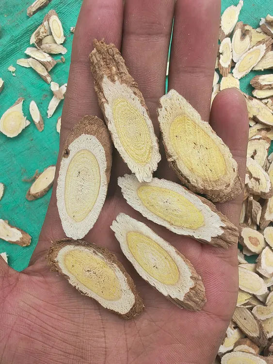 【甘肃野生黄芪蛋黄心】三十年老黄芪蛋黄心主根切片