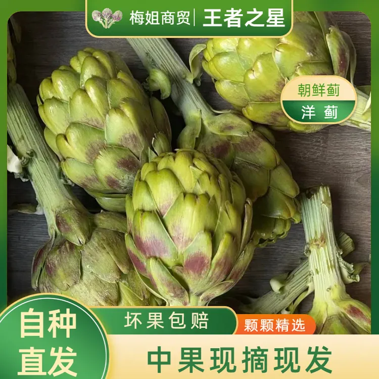 【王者之星中果】云南特产种植新鲜洋蓟朝鲜蓟食材营养蔬菜现摘现