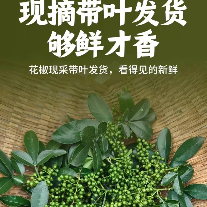 云南特产昭通大关老树青花椒食用现采摘特麻调味品500g顺丰包邮