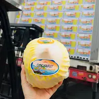 【哈拉秀严选】’‘鳄鱼牌’‘椰青新鲜水果9粒装新鲜椰子