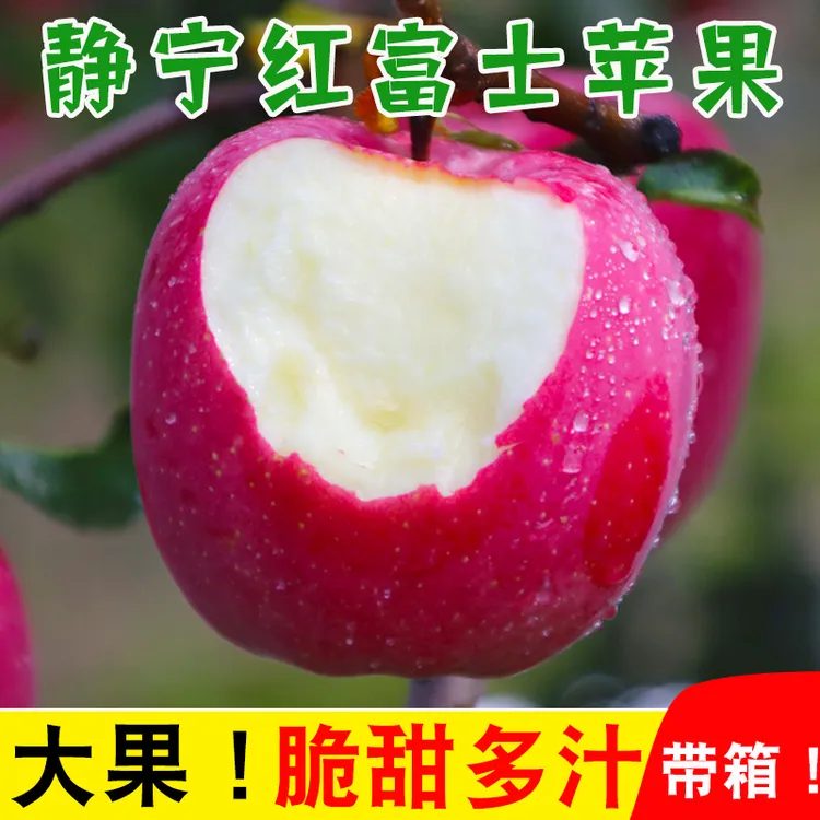 2025年甘肃静宁红富士苹果高山脆甜可口新鲜现摘包邮