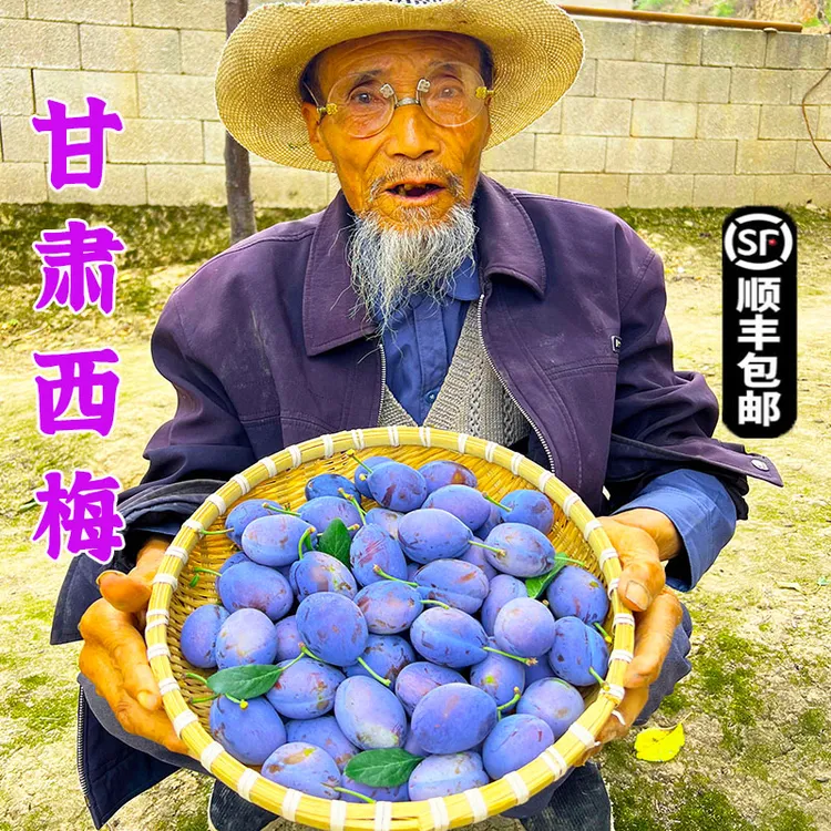 甘肃新鲜西梅孕妇水果脆甜当季蓝蜜品种甜西梅3斤包邮整箱李子