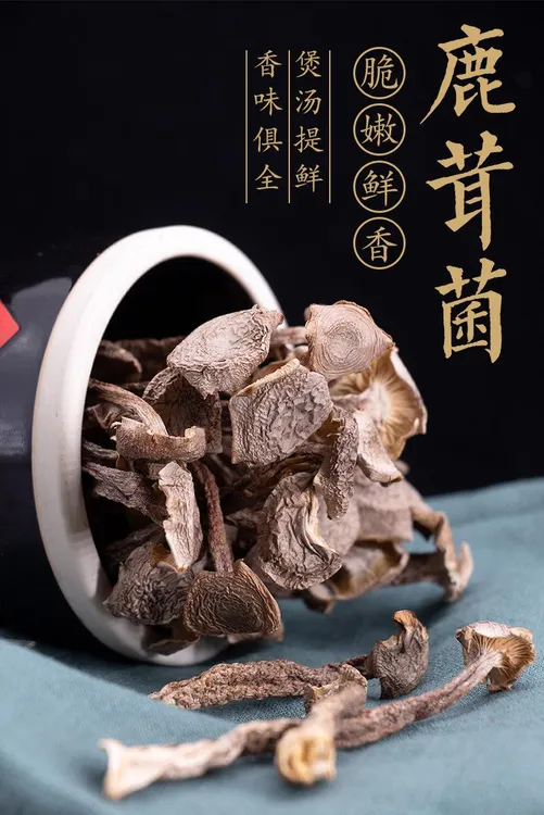 优质干鹿茸菇250克包邮酒店食用菌食材口感清脆苓，菌香浓厚营养