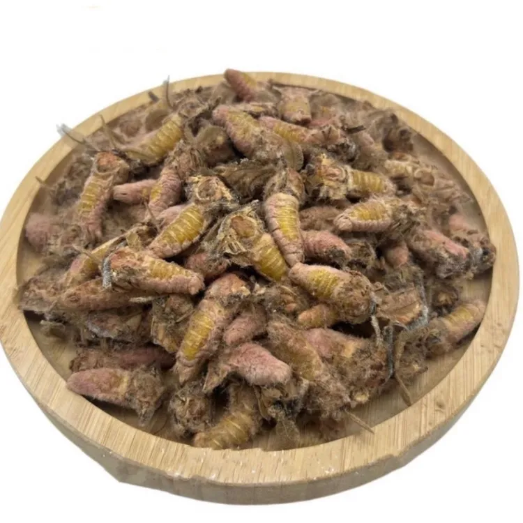 东北雄蚕蛾(去膀去毛速冻)蛋白过敏人勿拍，包邮