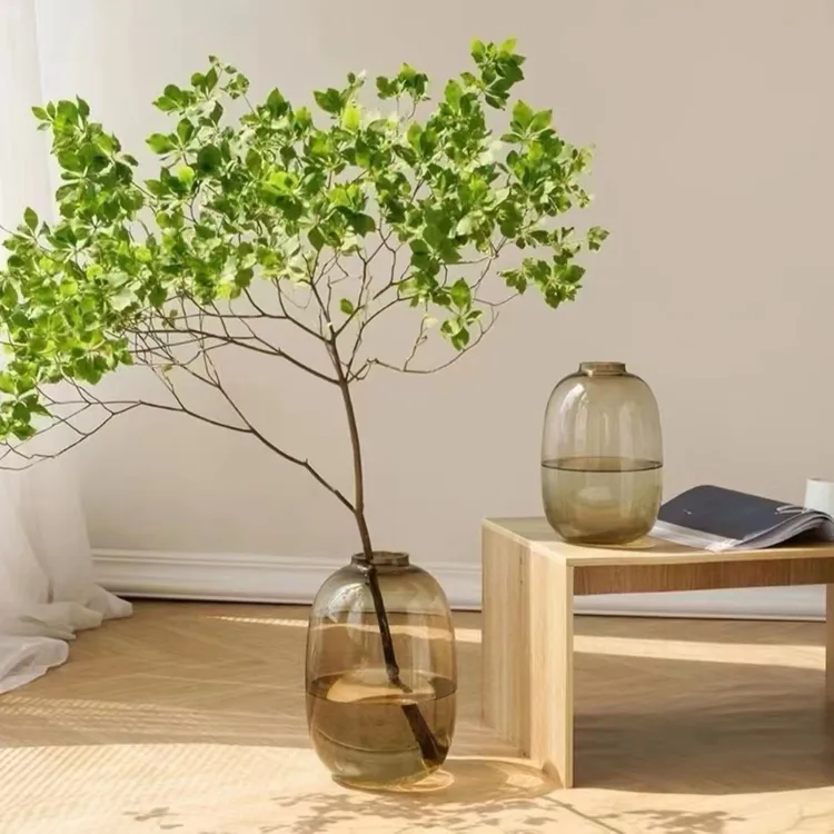 大肚瓶玻璃花瓶龟背竹美男树吊钟鲜切枝条室内绿植水养专用简约风