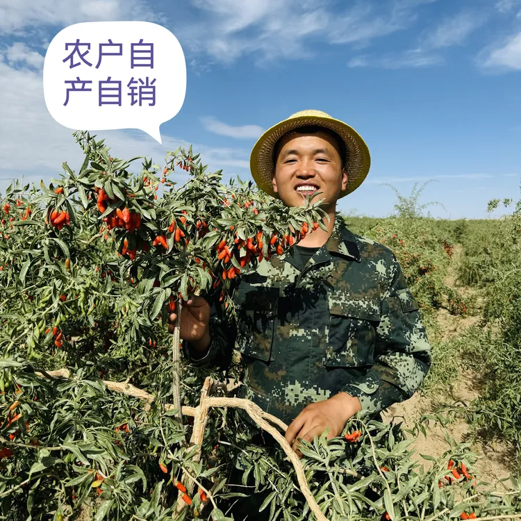 高海拔柴达木红枸杞头茬果自然晾晒无硫无亚钠泡水煲汤泡酒