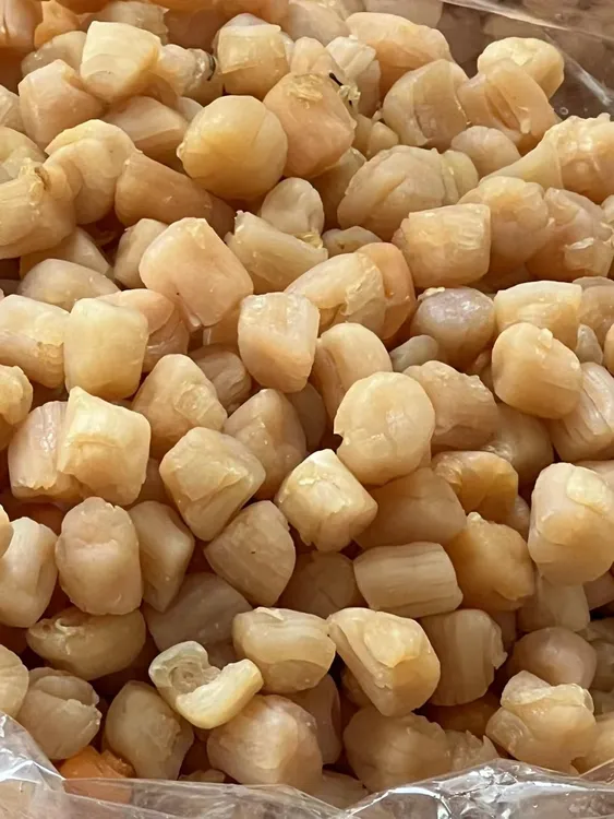 湛江本地特大瑶柱500g250g