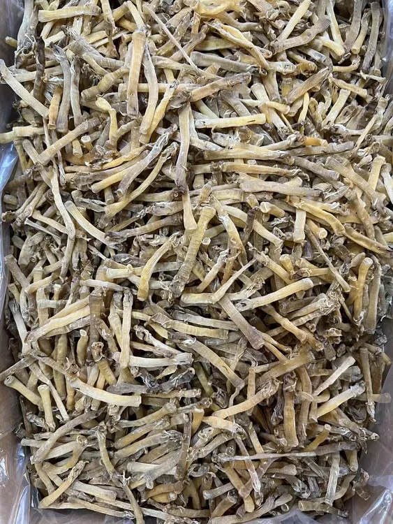 湛江本地沙虫干货可以煮粥煮汤好鲜甜