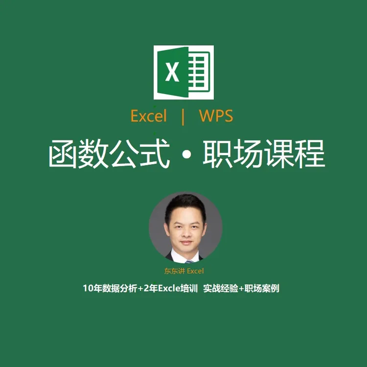 Excel   WPS 常用函数 数据透视表 正则函数精讲课程