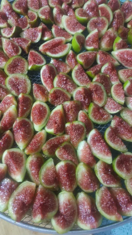 自然成熟精品熟的鲜果烤制的无花果干特有嚼头满满的果蜜香甜可口