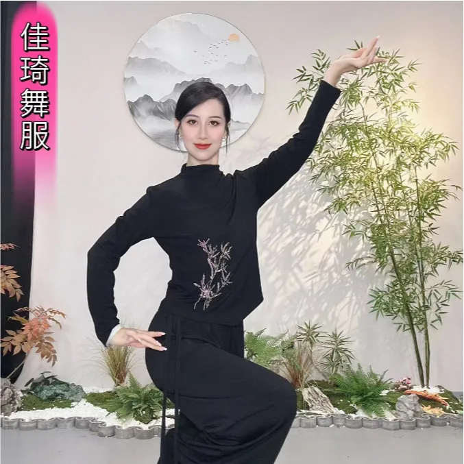 【佳琦舞服】新中式古典舞长袖烫钻上衣女秋季修身舞蹈服现代舞服