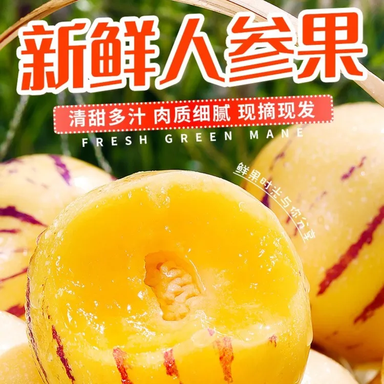 树上熟云南石林人参果黄肉自然熟圆果4.5-5斤超甜黄心大果水果