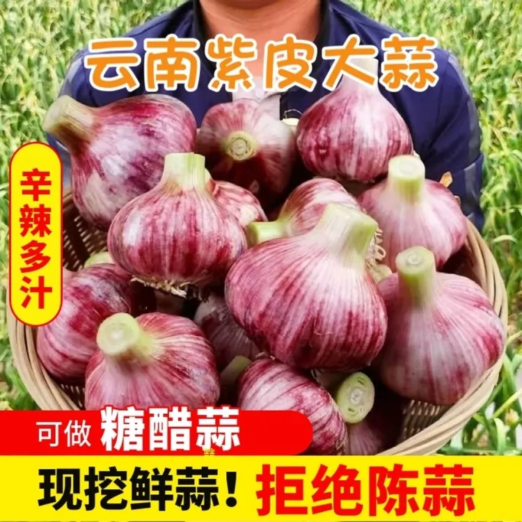 【粉丝专属】云南新鲜紫皮大蒜头分瓣蒜大蒜3斤5斤湿大蒜糖醋蒜