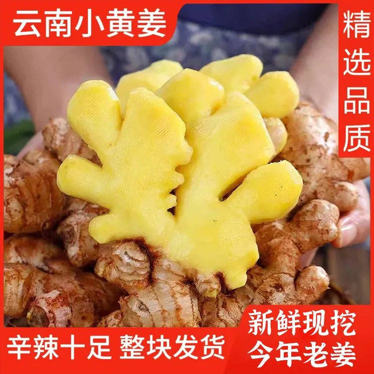 A（粉丝福利）现挖现发新姜新鲜正宗辛辣云南小黄姜生姜3斤5斤9斤