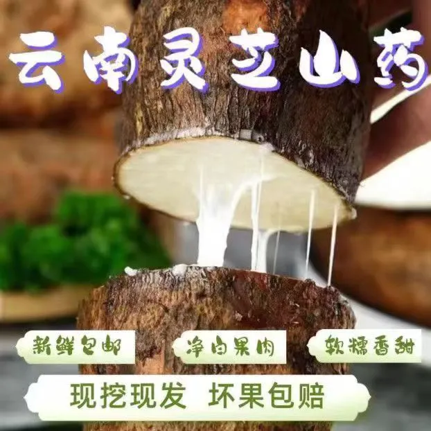 云南林芝山药现挖现发