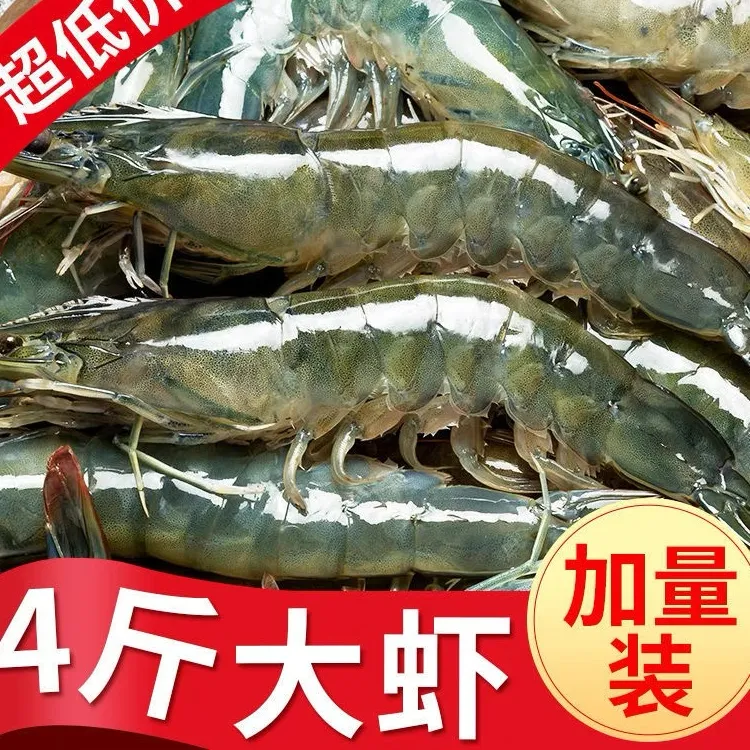 【加1斤到手4斤】2030气冻大虾 新鲜味美 活冻锁鲜