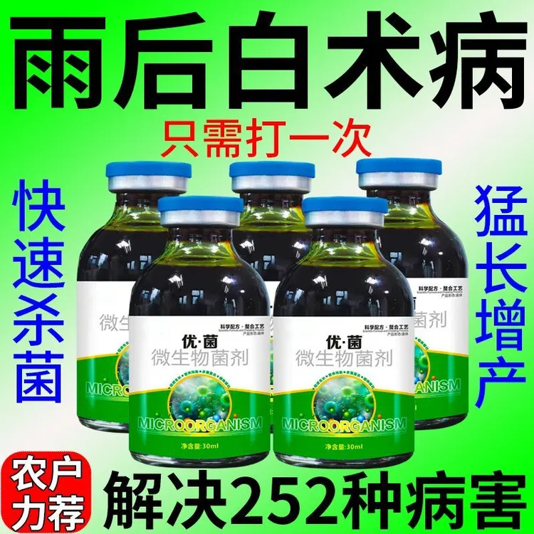 白术苗专用药白术病全治杀菌剂铁叶病叶斑病炭疽病叶枯病白粉锈病