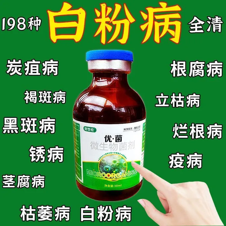 白粉病专用进口白粉净多菌灵白粉病霜霉病果树蔬菜花卉剂