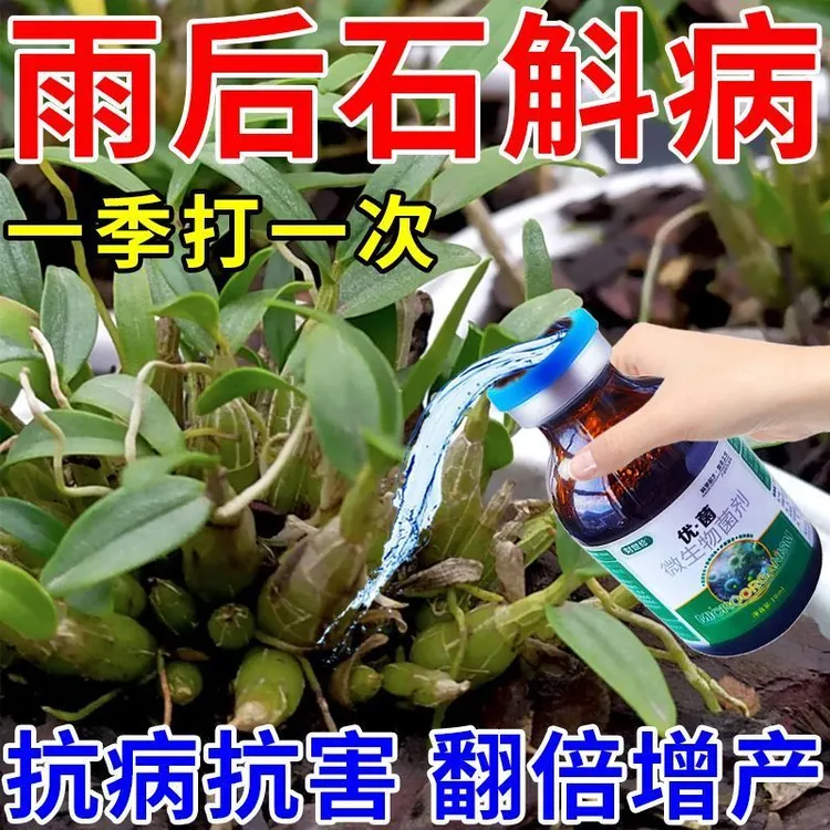 铁皮石斛专用药石斛病全治烂根黄叶黑斑病软腐病灰霉白绢病杀菌剂