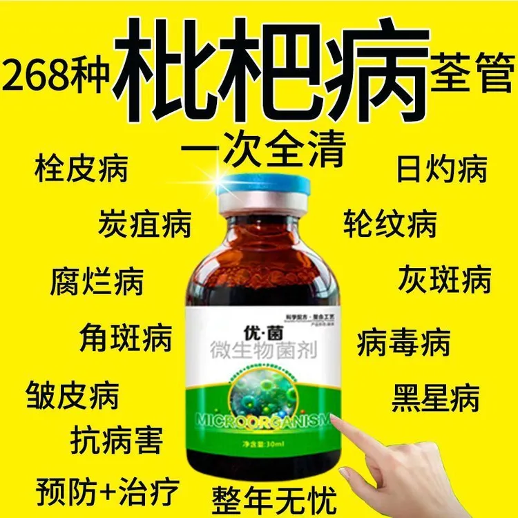 枇杷病全管枇杷树斑点黄叶病叶斑病干腐病花腐病杀菌剂叶面肥
