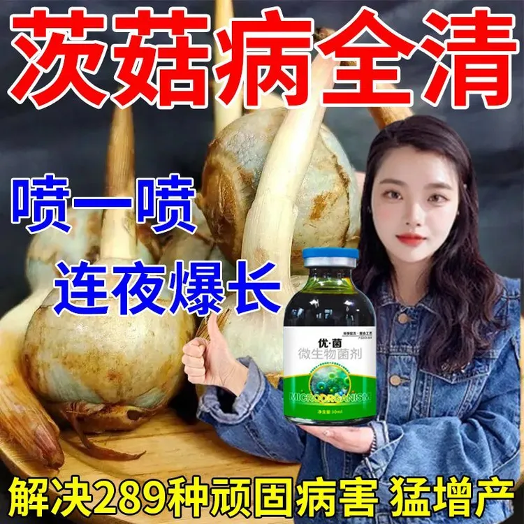 茨菇病害专用剂茨菇药病全治茨菇软腐病黑粉病黄叶褐斑炭疽病