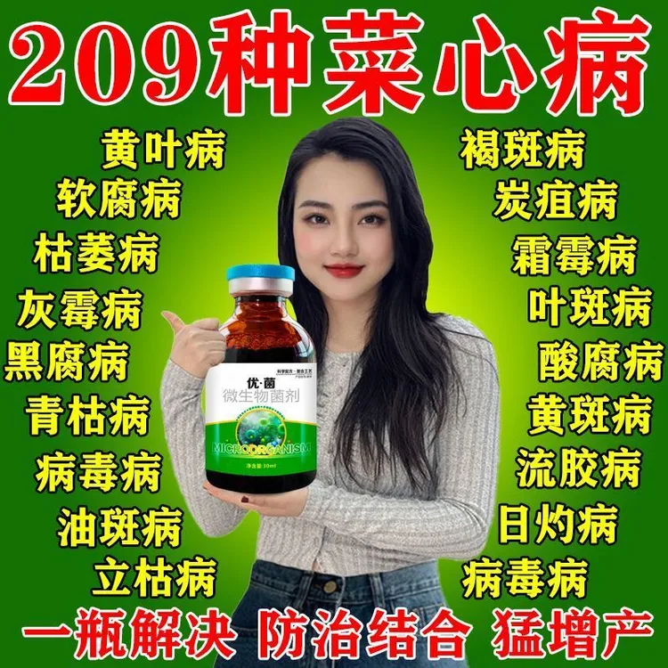 菜心专用药广心菜霜霉病软腐病腐烂发臭烂根烂叶根腐病黑腐病专用