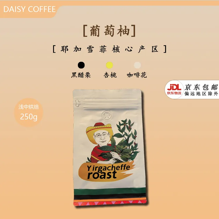 【口粮款】黛思精品SOE耶加雪菲水洗250g袋装阿拉比卡咖啡豆浅中烘