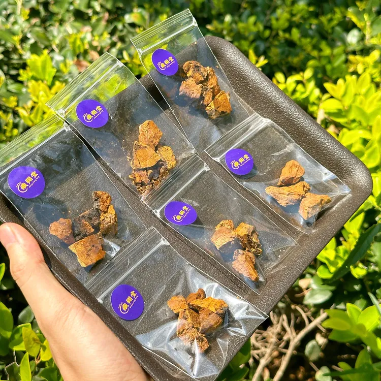 【西藏】桑树桑黄切片30克罐装包装
