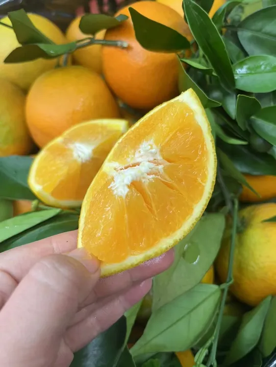 赣南寻乌脐橙中小果10斤装净重9.6以上斤