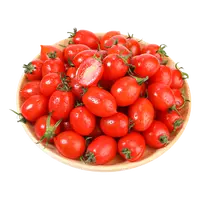 釜山88车厘茄500g±10g/份