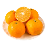 涌泉蜜桔约600g/份