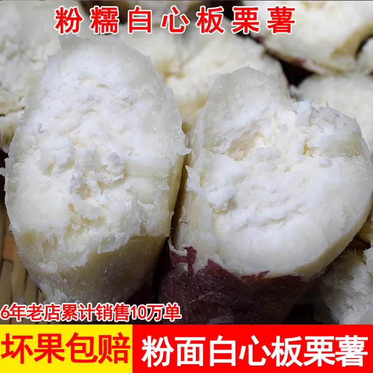 新鲜香糯栗子香白心红薯板栗白薯爆皮番薯香甜白瓤地瓜2/3/5/9斤