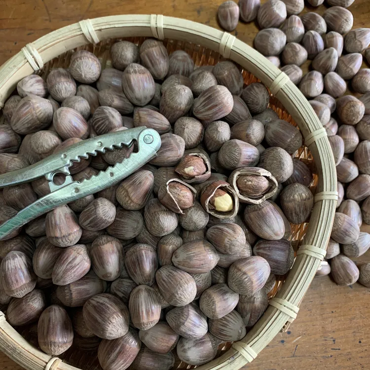  [自营]黑龙江 虎皮大榛子 原味笨炒 500克/袋
