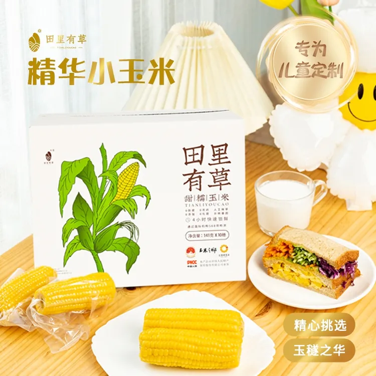 【25年头茬】田里有草黄糯小玉米 141gx10根鲜食儿童非转基因粗粮