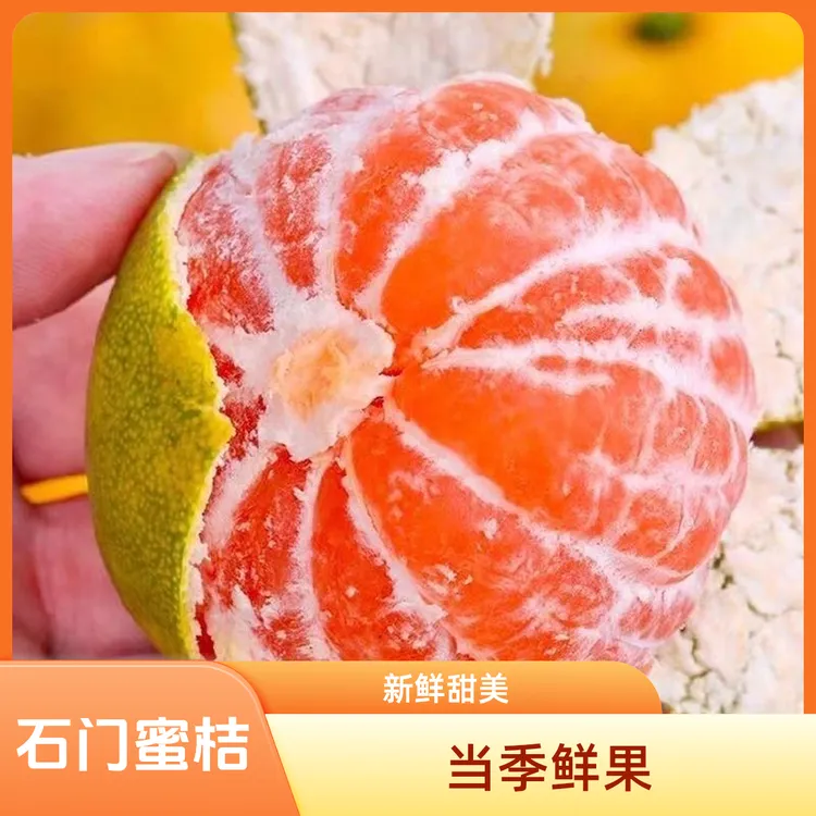 树上自然熟石门蜜桔无籽柑橘无籽新鲜应季水果现摘包邮