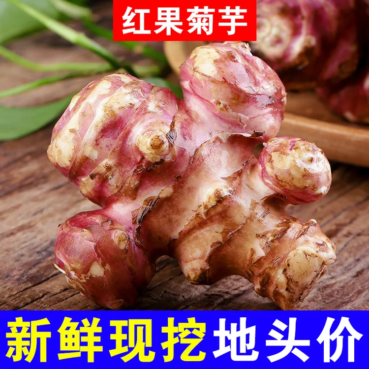 红洋姜新鲜紫皮洋姜现挖农家鬼子姜姜不辣酱腌菜泡菜姜菊芋洋芋头