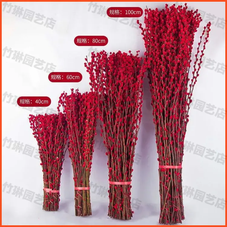 室内招财装饰鲜枝银柳年宵花客厅装饰真花干花红色银柳真花鲜枝