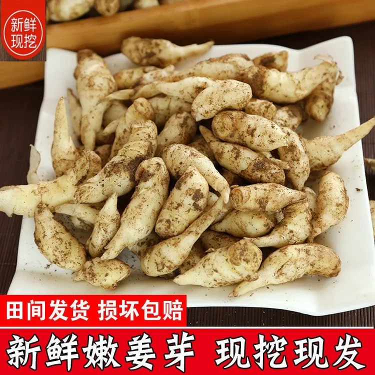 山东姜芽泡菜仔姜嫩姜芽新鲜嫩子姜生姜新嫩姜姜芽鲜姜