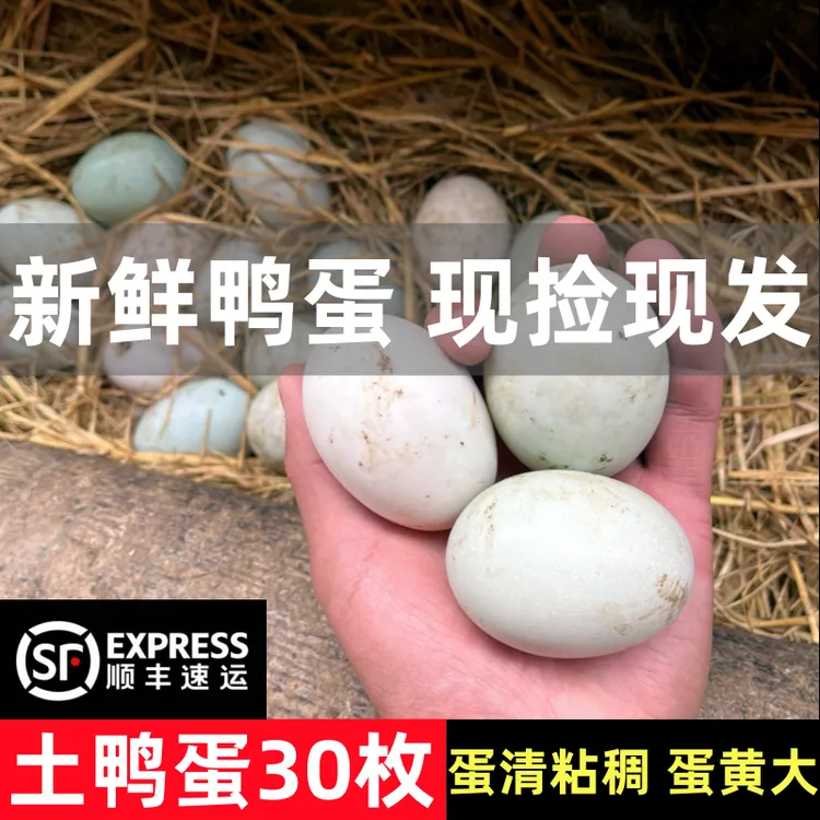 湖北土鸭蛋新鲜生鸭蛋30枚正宗农村散养鸭蛋青皮生鸭蛋顺丰快递