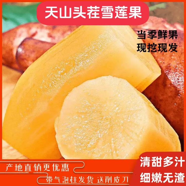 【现挖现发云南红土雪莲果】产地直发新鲜雪莲果脆甜多汁细嫩无渣