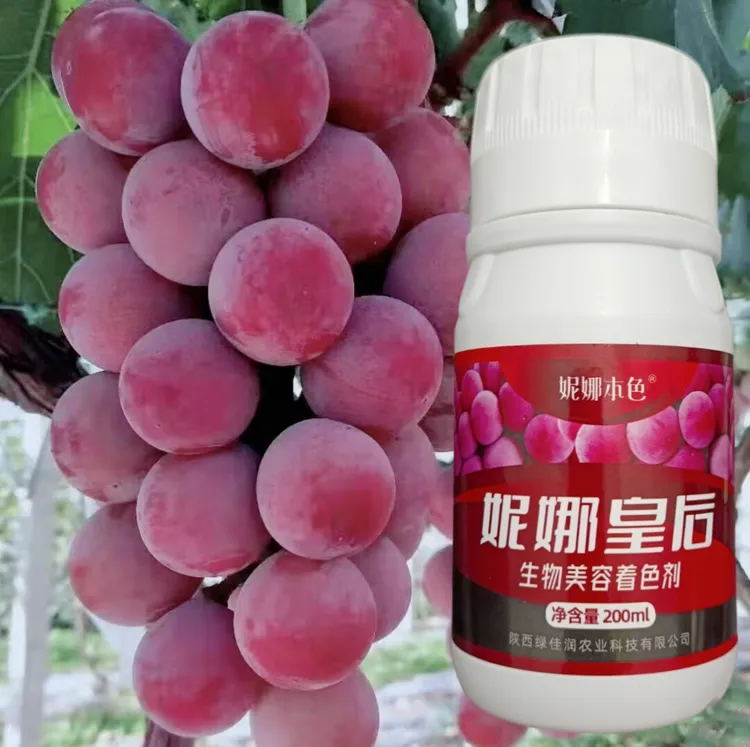 妮娜本色葡萄增糖着色葡萄安全葡萄自然红上色氨基酸肥农业叶面肥