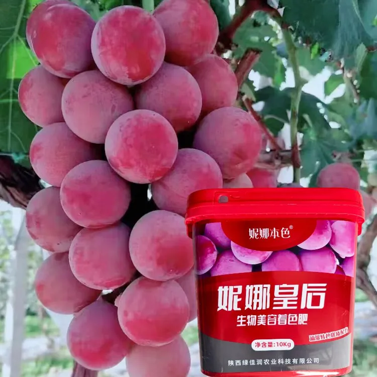 妮娜皇后葡萄上糖上色增甜膨大肥1桶10kg冲施一亩地 