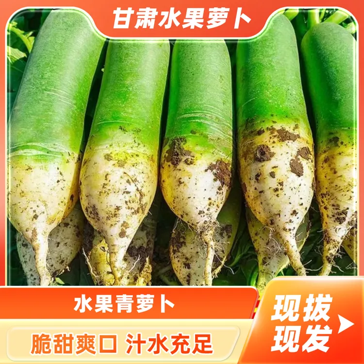 甘肃水果青萝卜5斤新鲜脆甜型微辣沙窝萝卜现拔现发京东包邮