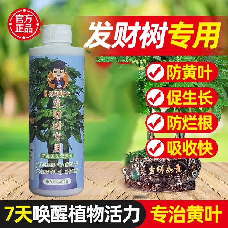 【拍二发三】发财树专用肥植物营养液室内盆栽促生长促生根