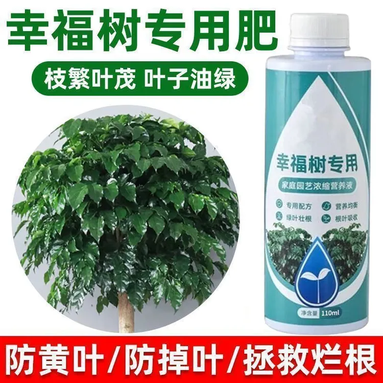 正品幸福树专用养护肥料防治掉叶黑斑绿植通用营养液植物盆栽室内