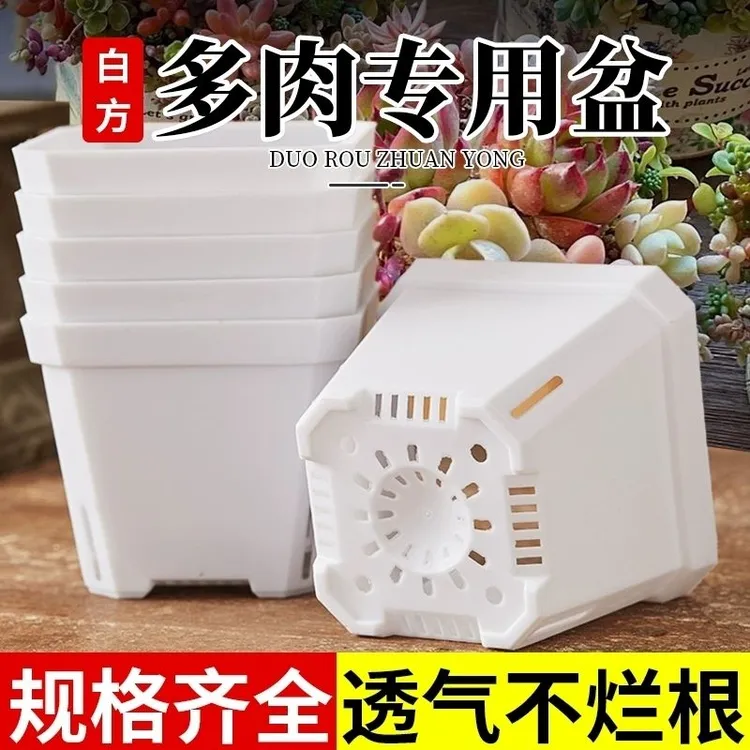 多肉花盆透气小白方加厚矮款磨砂塑料叶插苗育苗玉露景天塑料花盆