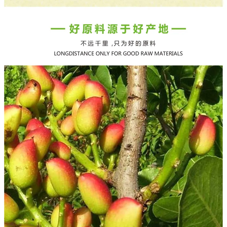 开心果仁碎 熟开心果碎 果粒3-5mm马卡龙夹馅烘焙原料蛋糕点缀装