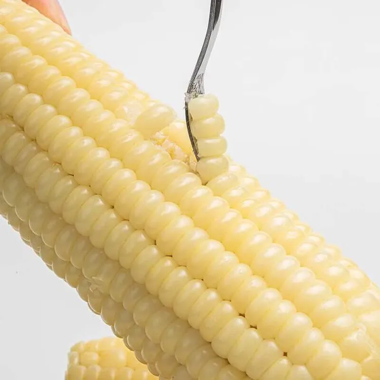 新主良白糯玉米8穗装真空包装东北黑土地北纬47新鲜玉米