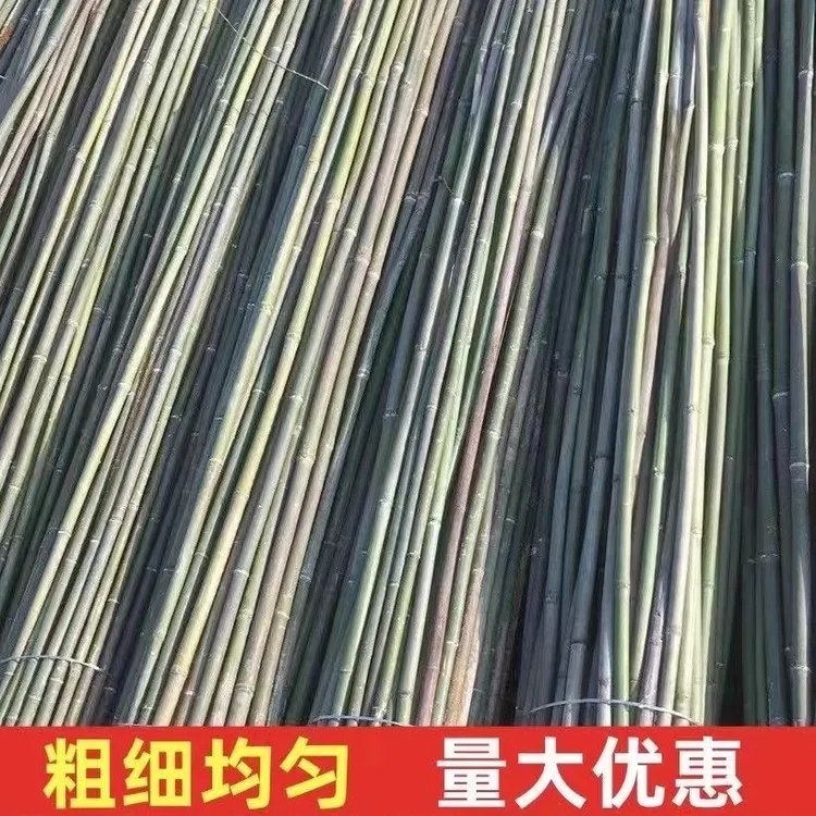 包邮小竹竿菜园搭架豆角豇豆黄瓜蔬菜爬藤竹杆篱笆栅栏彩旗杆